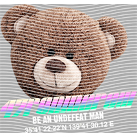 Brand Catalog-ZX 854